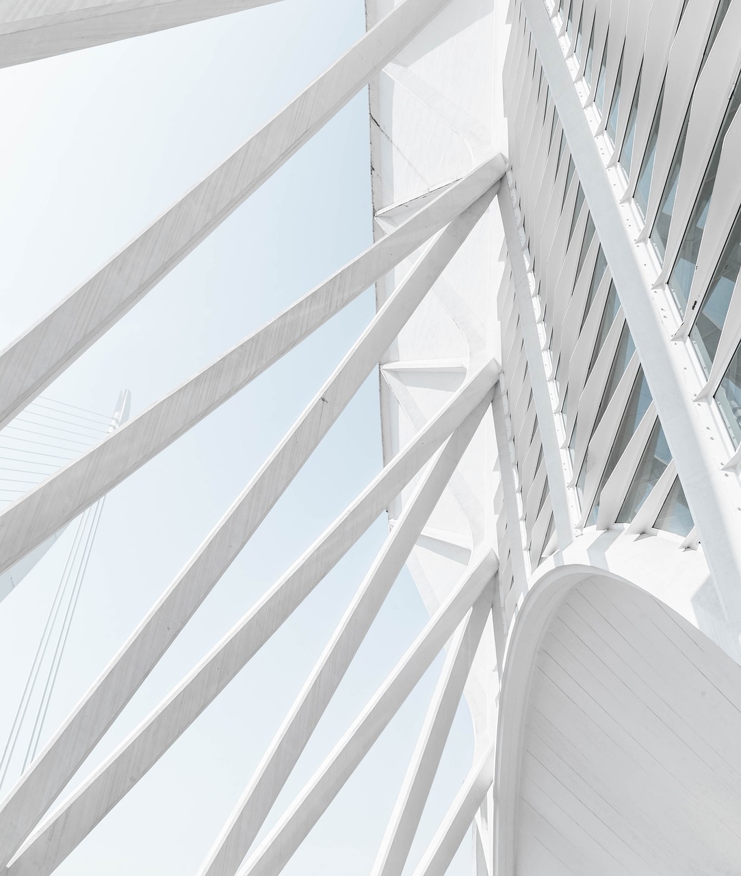 architecture, white, building-2559142.jpg